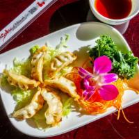 Gyoza · Steam or fried. Meat and vegetable dumpling.