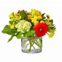 Autumn Glow Bouquet · As the days get shorter, brighten your home With the autumn glow bouquet filled With fresh, ...