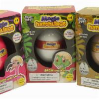 Magic Hatchlings Egg - Pick Your Animal  · Sloth or Flamingo which will you watch grow today?