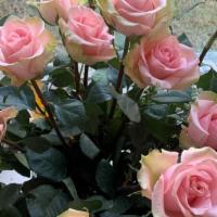 Create Memories With A Dozen Fresh Gorgeous Pink Roses · Create memories with a dozen fresh gorgeous pink roses.