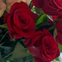 A Dozen Of Premium Long-Stem Fresh Beautiful Plush Red Roses · Enjoy a dozen premium long-stem fresh beautiful plush red roses.
