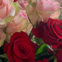 Single Rose · Single rose; red or pink.