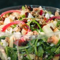 Songbird Salad · Spinach and arugula base, goat cheese, seasonal fruit, pickled onions, candy pecans, sunflow...