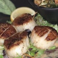 Seared Sea Scallops · White wine lemon-herb butter sauce, on a bed of asparagus, served with mashed potato.