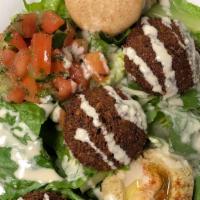 Kid'S Falafel Meal · Famous falafel served on a bed of romaine with hummus, shepherd salad, pita bread, and tahin...