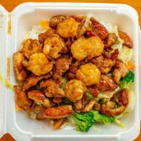 Chicken & Shrimp Teriyaki · Served with rice or noodle & vegetable.