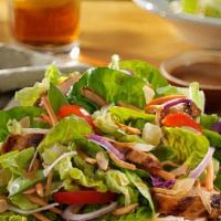 Grilled Chicken Salad (+Large Garden Salad) · Large garden salad with grilled chicken breast on the side.