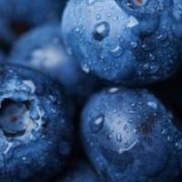 Blueberries · 