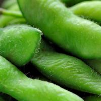 Edamame · Steamed young soybeans lightly salted.