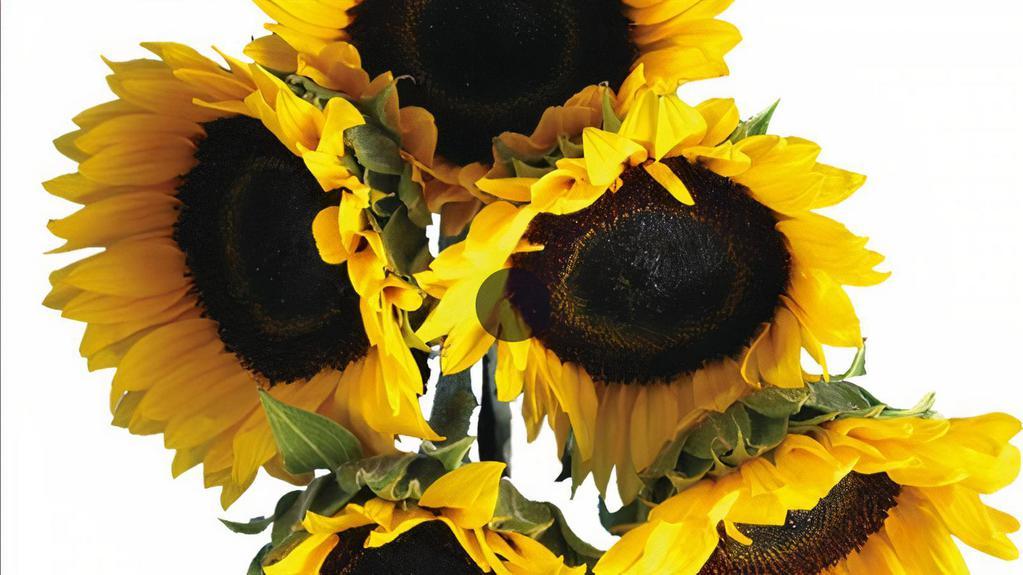 Sunflowers · Bouquet includes 5 stems