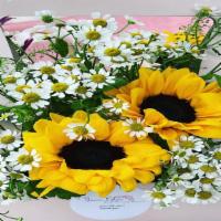 Sunflowers · Sunflowers can surely brighten your special one's day. (Flowers and/or vase/container may va...