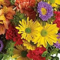 Make A Wish · Yellow daisy spray chrysanthemums, purple Matsumoto asters, red miniature carnations, orange...