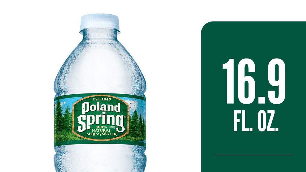 Poland Spring Water · 16.9 oz.