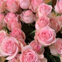 Deluxe · The very best of our signature arrangements! The prime selection of premium focal flowers an...