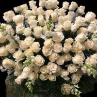 Big White Roses Arrangament · 75 st Roses
stock
Leather Leaf
Ti leaves