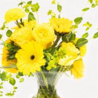 Pure Yellow · Includes vase