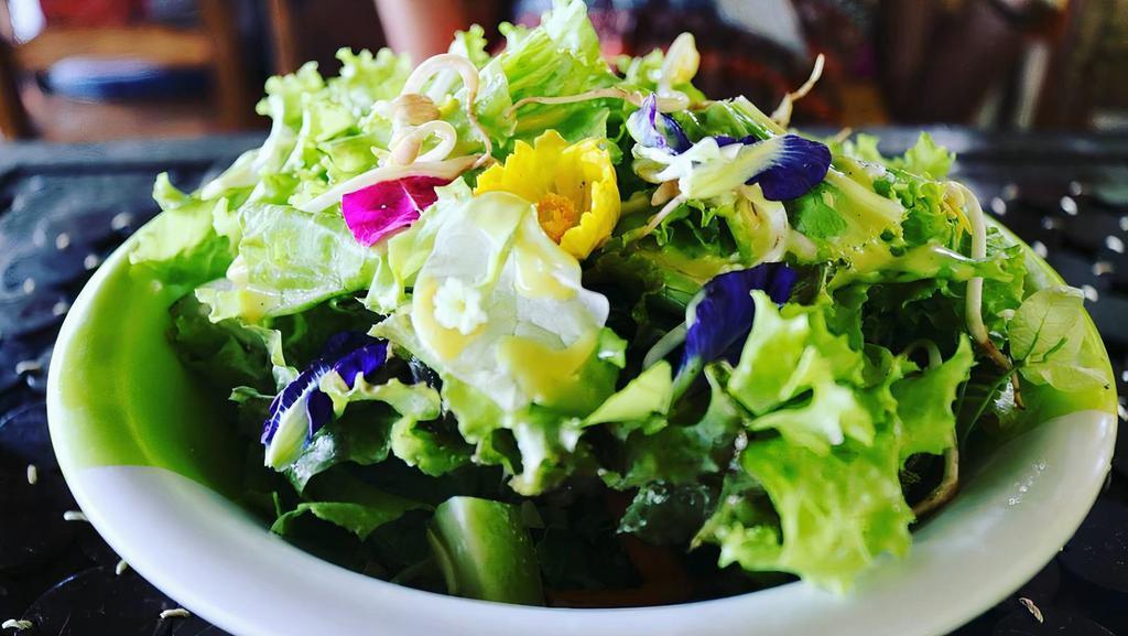 Garden Salad · Romaine lettuce, cherry tomatoes, cucumbers, red onions, green peppers, carrots, black olives.