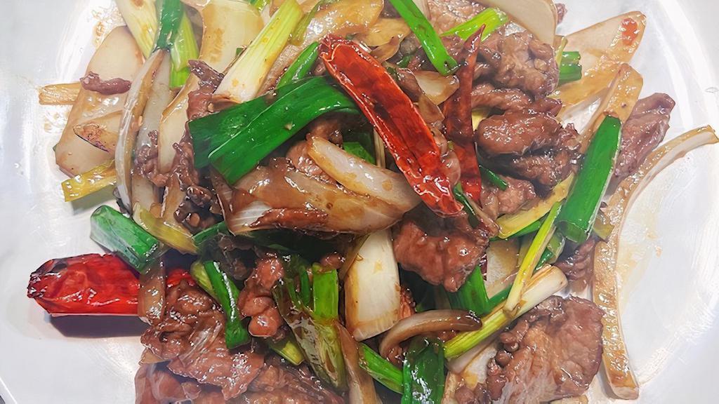 Mongolian Beef · Hot and spicy. Scallion & onion in spicy house sauce.