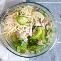 Pho Ga My · Pho with fresh white meat chicken, fried onions, scallions, and cilantro. (chicken broth)  P...