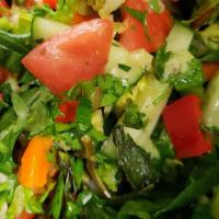 Syrian Salad · Mix of romaine lettuce, some mixed greens, tomatoes, cucumbers, parsley with our tradition d...