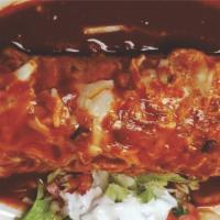 Wet Red Burrito · Choice of meat, rice, beans, sour cream, guacamole, melted cheese.