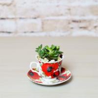 Succulent Tea · This adorable combo is perfects for tea or plant lover in your life.  
**Tea cup design may ...