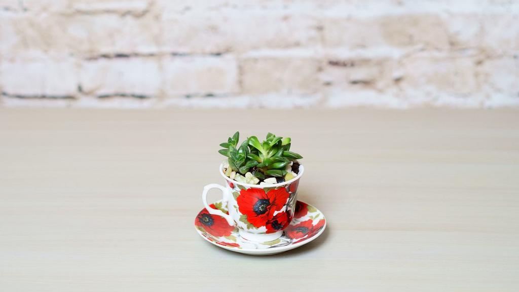 Succulent Tea · This adorable combo is perfects for tea or plant lover in your life.  
**Tea cup design may vary**