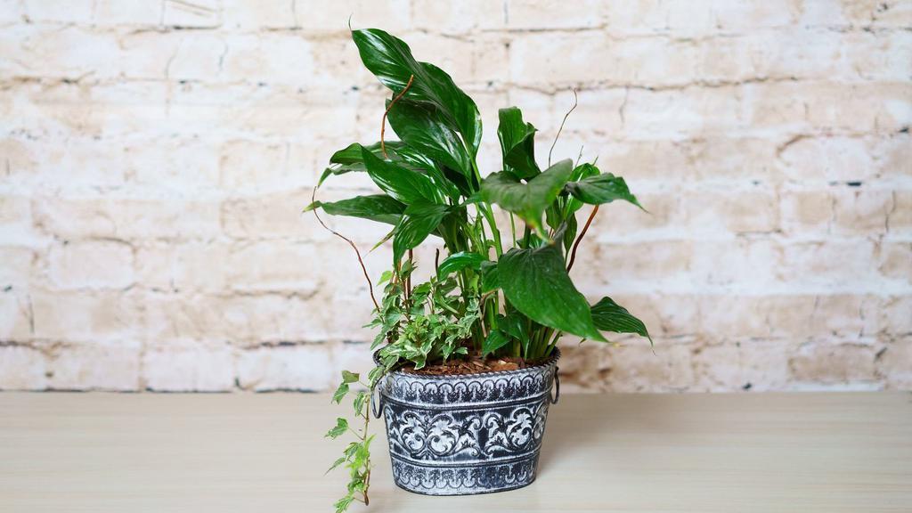 Peace Of The Jungle · I can almost here the sounds of the jungle when staring into this beautiful planter.