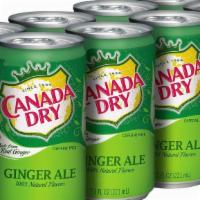 Canned Ginger Ale · 