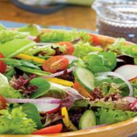 Grilled Salmon & Shrimp Salad (+Large Garden Salad) · Large garden salad with grilled salmon and jumbo shrimp on the side.