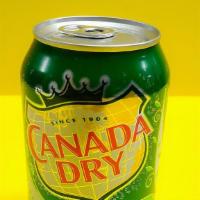 Ginger Ale · Can 355ml