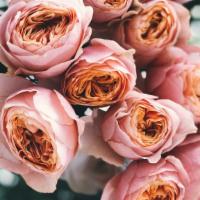 Romantic Rose Arrangement · Say 