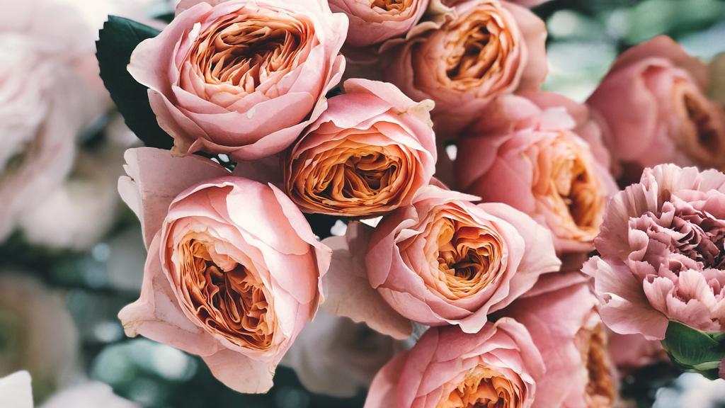 Romantic Rose Arrangement · Say 