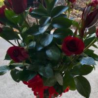 You'Re Special · This arrangement includes a dozen long stem roses the perfect arrangement of choice.