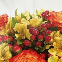 You’Re My Starburst  · You’re my Starburst of Blooms Arrangement is so Beautiful and Bright! Designed to Brighten u...