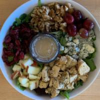 Fall Harvest Salad · Mixed greens, roasted chicken, granny smith apples, red grapes, craisins, walnuts, blue chee...