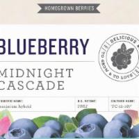  Blueberry Bush 'Midnight Cascade'  (3 Gallon) · White, bell-shaped flowers in the spring lead to an abundant summer crop of blueberries. The...