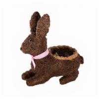 Straw Topiary Rabbit · Gardener Select® Straw Topiary Rabbit
Fits a 5.5in Pot

Create a fun and playful accent for ...