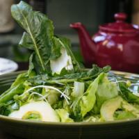Dandelion Salad · mixed greens & dandelion leaves,
cucumber, avocado, lemon vinaigrette