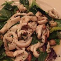 Grilled Calamari · served over a bed of spring mixed green with olive oil garlic lemon sauce and spices .