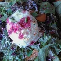Warm Goat Cheese And Roasted Beets Salad · over greens with apricots and maple vinaigrette.