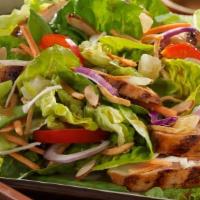 Grilled Chicken Salad · Served with pita bread and choice of dressing.