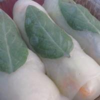 Fresh Roll (Shrimp) · Vegan, gluten-free. Rice paper wrapped with tofu, lettuce, carrots, cucumber, rice noodles a...