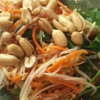Papaya Salad · Julienne green papaya salad with roasted peanut, string bean and tomatoes tossed with spicy ...