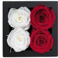 White & Red - 4 Ct · DIM: 10 cm x 10 cm x 3.8 cm // Rose: 4.5 cm