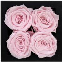 Soft Pink - 4 Ct · DIM: 10 cm x 10 cm x 3.8 cm // Rose: 4.5 cm