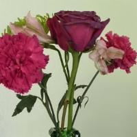 Bbf004 · Make someone's day with these colorful blooms.