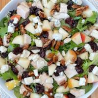 Spring Harvest · Chicken breast, dried cherry, honeycrisp apple, candied pecans, gorgonzola and spring mix. S...