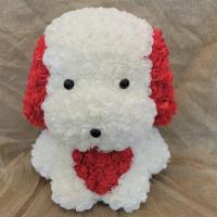Precious Rose Red Puppy Large · a precious rose red puppy in a luxury gift box