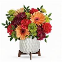 Mid Mod Brights Bouquet · This bouquet features orange verb era, hot pink carnation, purple cushion, green pompous in ...